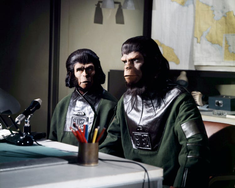 Les acteurs Roddy McDowall (à droite) comme Cornelius et Kim Hunter comme Zira dans le film de science-fiction 'Escap ...